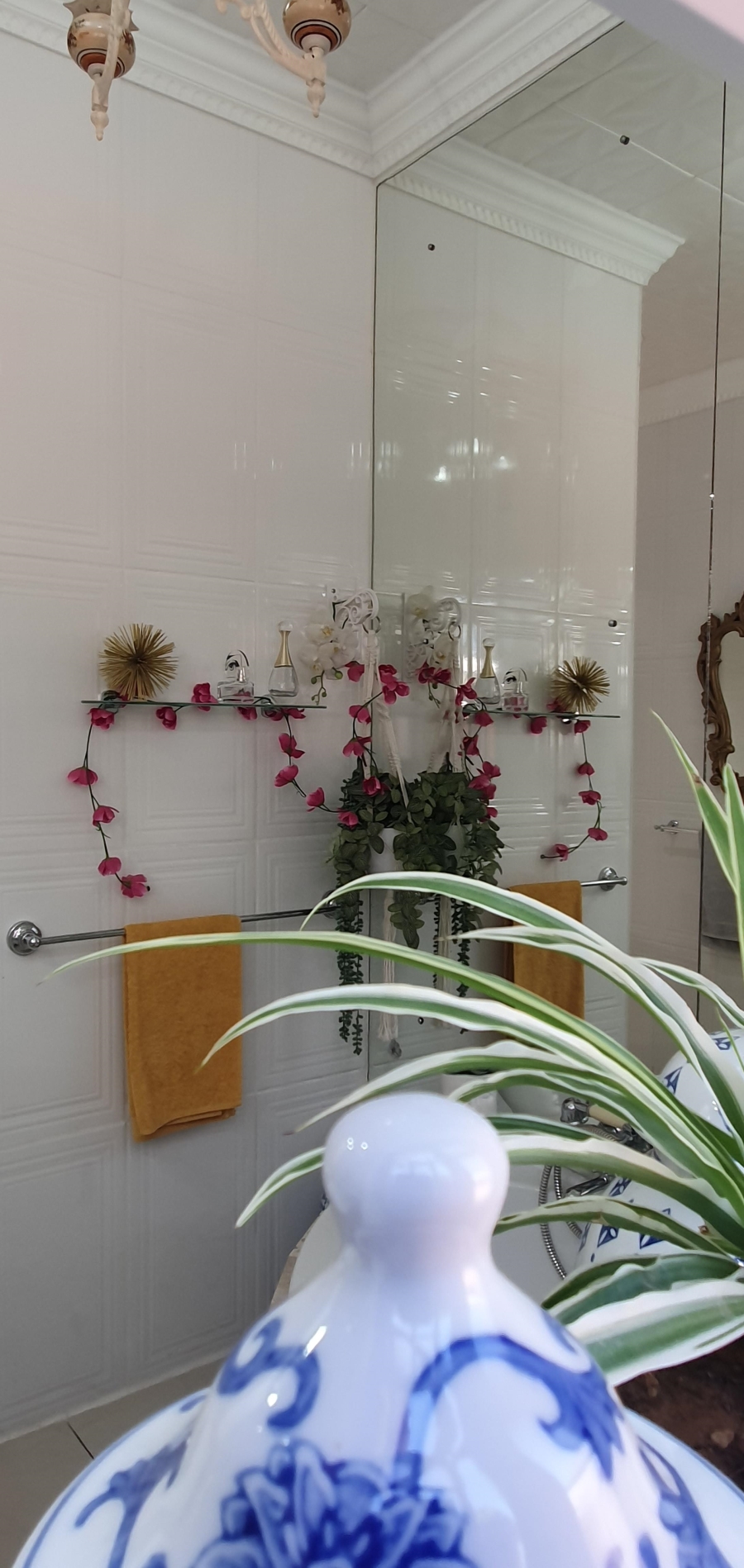 3 Bedroom Property for Sale in Levyvale Eastern Cape